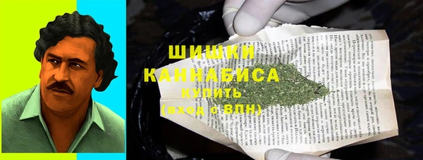 дживик Чегем