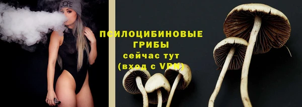 мет Чекалин