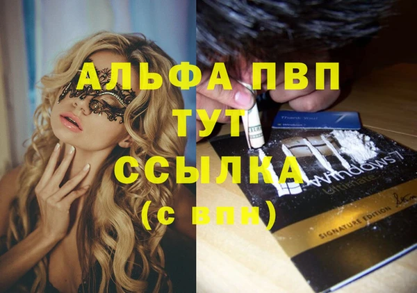 дживик Чегем