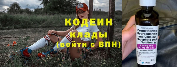 дживик Чегем