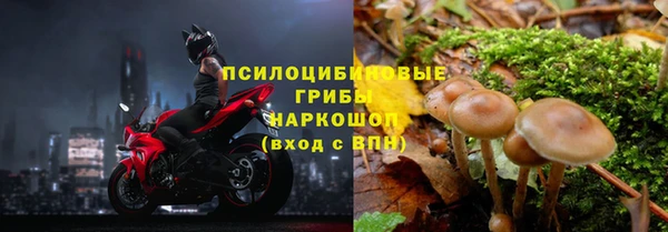 мет Чекалин