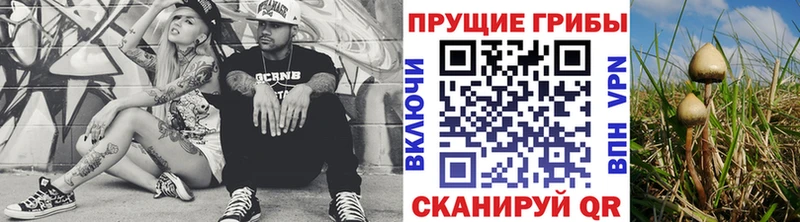 Купить  Хотьково  Псилоцибиновые грибы прущие грибы 